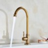Küchenarmatur im Retro-Stil mit einem Griff aus galvanisiertem Messing in Gold