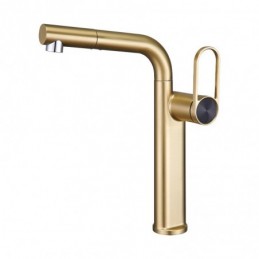Gebürstetes Gold Creme-Stil...