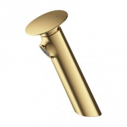 Hao Gold Zuhause Aufsatz...