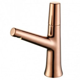 RoséGold Minimalistisch Aus...